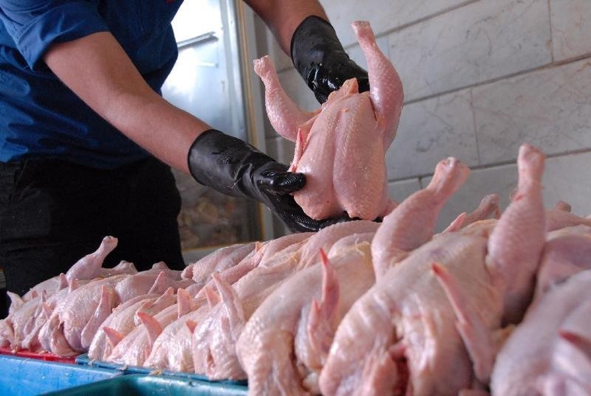 کاهش ۲۵۰۰ تومانی قیمت مرغ


