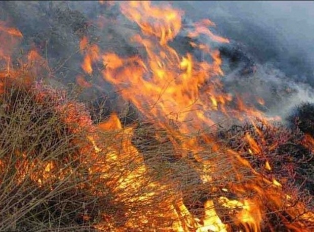 آتش سوزی در منابع طبیعی فیروزآباد مهار شد