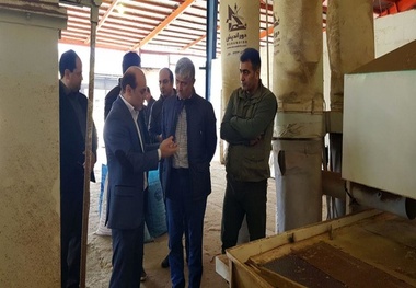 توجه شرکت جنگل‌های شفارود به  حفاظت از جنگل‌ها و افزایش سطح جنگل‌ها