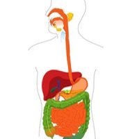 راهنمای کاهش علائمِ گوارشیِ استرس
