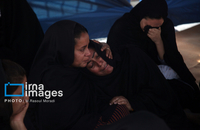 شناسایی شهدای دبستان میناب (25)