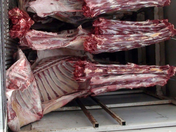 کشف بیش از دو تن گوشت فاقد مجوز در تربت جام