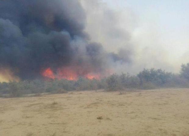 آتش سوزی در پارک ملی دز مهار شد