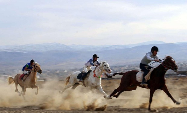 40 سوارکار در مسابقات اسبدوانی خراسان شمالی رقابت می کنند