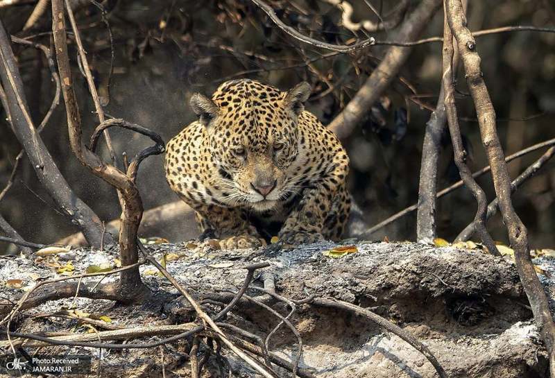 منتخب تصاویر امروز جهان- 24 شهریور