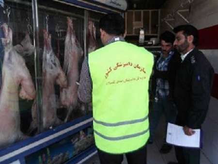 طرح نظارت بهداشتی دامپزشکی در جنوب کرمان آغاز شد