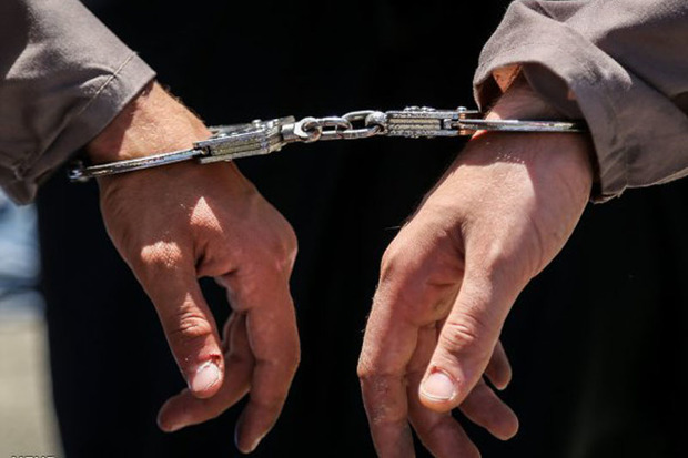 هفت نفر از سارقان حرفه ای در اشنویه دستگیر شدند