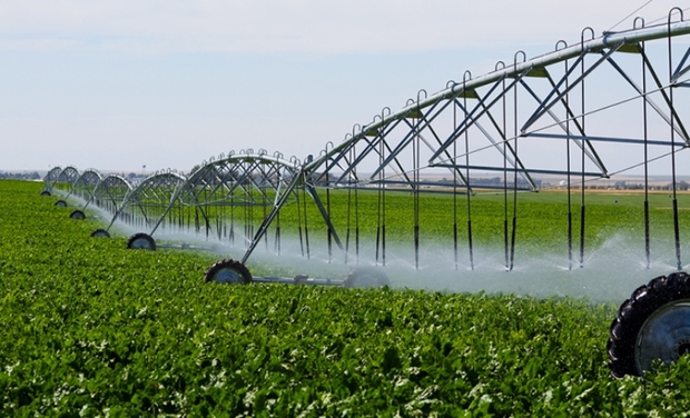 اجرای آبیاری تحت فشار سطح زیر کشت اراضی کشاورزی ورامین را افزایش داده است