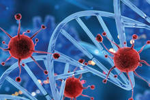 غربالگری سرطان پستان در زنان بالای ۵۰ سال، هر دو سال یک بار