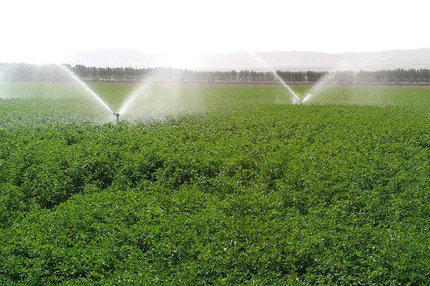 مطالعات طرح کاهش 40 درصد مصرف آب کشاورزی حوضه آبریز دریاچه ارومیه 90 درصد پیشرفت دارد