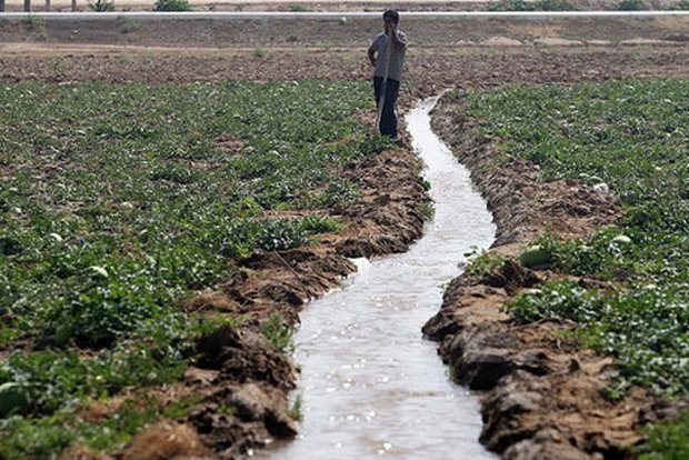 88درصد آب خراسان شمالی در کشاورزی مصرف می شود