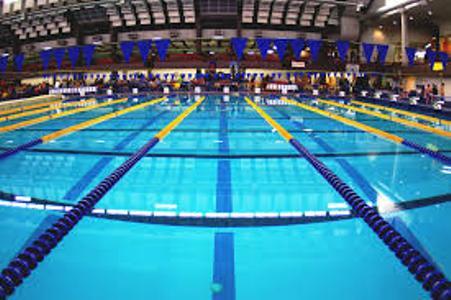 20مرکز استعداد یابی ورزش شنا در سطح استان تهران فعال است