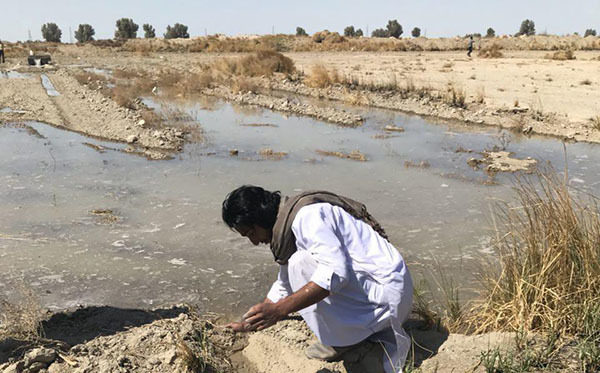 رها سازی آزمایشی آب در بیش از 2 هزار هکتار از طرح 46 هزار هکتاری دشت سیستان