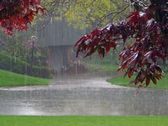 بارش 9 میلی متری باران درکرمانشاه میانگین بارش های سال زراعی به 431 میلی متر رسید