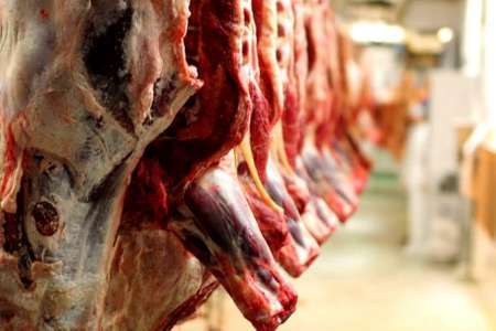 کشف 217 کیلوگرم گوشت فاسد در شهرستان ماسال