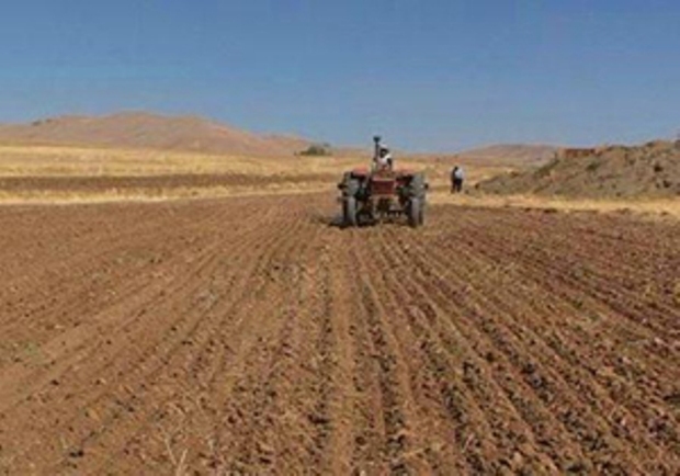 قهر آسمان با یک میلیون هکتار مزارع دیم استان کردستان