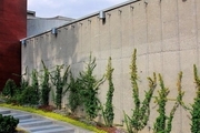 دیوارهای سبز کابلی، بهشتی بر دیوارهای خانه شما