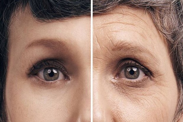 پیش‌بینی پیری بیولوژیکی ممکن می‌شود
