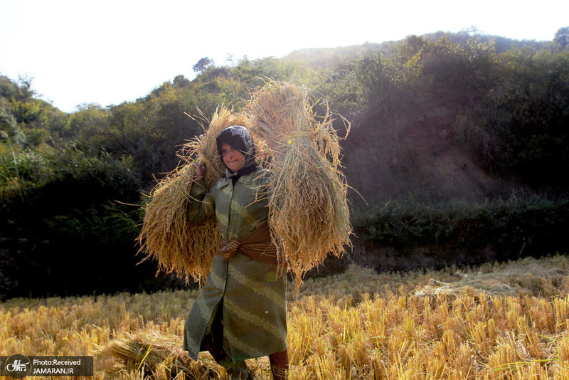 منتخب تصاویر امروز جهان- 14 مهر