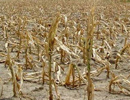 70 درصد خوزستان درگیر خشکسالی است  در انتظار باران پائیزی