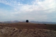 فصل نخست کاوش و گمانه زنی تپه تل سوزو در استان بوشهر آغاز شد