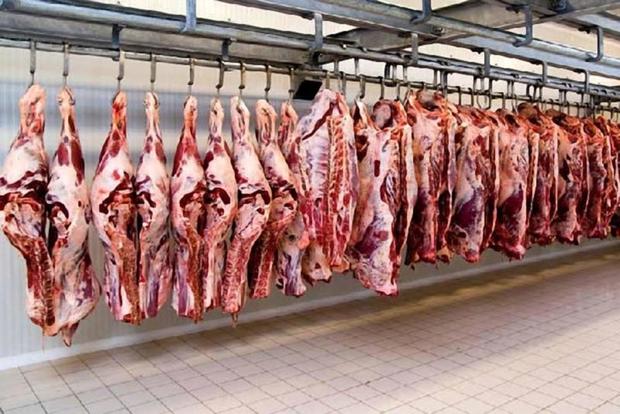 گرانی و کمبود گوشت قرمز در اهواز با واردات قابل حل است