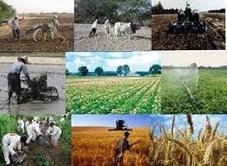 تحول در بخش کشاورزی گچساران با 2059میلیارد ریال اعتبار