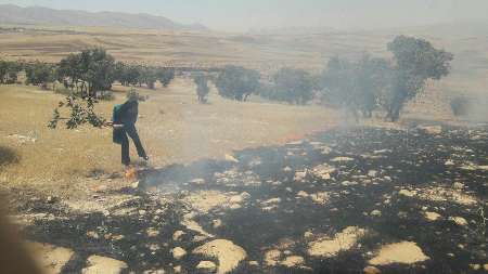 یک هزار و 200 متر مربع از مراتع مشجر گیلانغرب در آتش سوخت