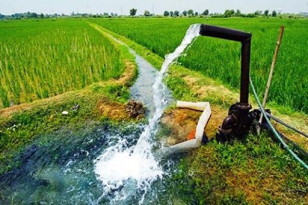 فرماندار آستارا برنامه ریزی جهت تامین آب زراعی را خواستار شد