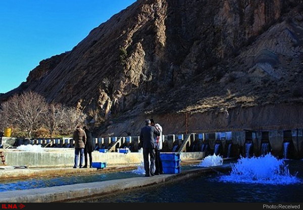 سیل به ۲۱ مزرعه پرورش ماهی غرب مازندران خسارت زد