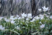 میانگین میزان بارندگی کهگیلویه و بویراحمد 856.6 میلیمتر است