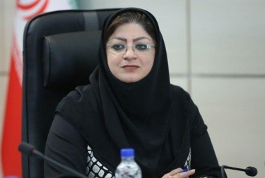 نایب رئیس کانون زنان بازرگان ایران: برخی قوانین مانع فعالیت و رشد اقتصادی هستند