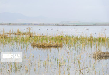 تالاب‌های «درگه‌سنگی» و «سولدوز» نقده آبگیری شد