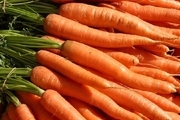 آیا گرانی هویج به خاطر صادرات است؟