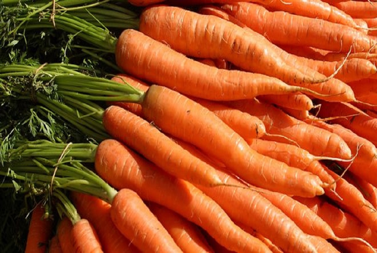 آیا گرانی هویج به خاطر صادرات است؟