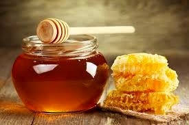 تولید 160 تن عسل در نکا  فعالیت 262 بهره‌بردار در صنعت زنبورداری نکا