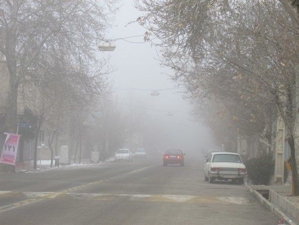 احتمال مه صبحگاهی در برخی نقاط استان بوشهر  رطوبت 100 درصدی درخارگ