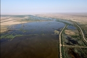 تالاب هورالعظیم در شرایط بحرانی/ حفاظت محیط زیست خوزستان: وزارت نیرو حق‌آبه نمی‌دهد