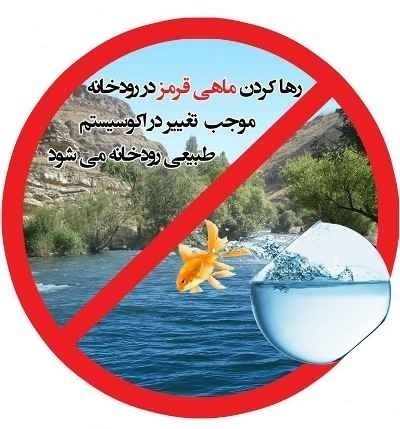 آمادگی باغ پرندگان دزفول برای تحویل ماهی قرمز عید  شهروندان از رهاسازی ماهی قرمز در رودخانه‌ها خودداری کنند