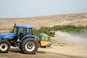 مبارزه با ملخ صحرایی در 4000 هکتار از اراضی کهنوج انجام شد
