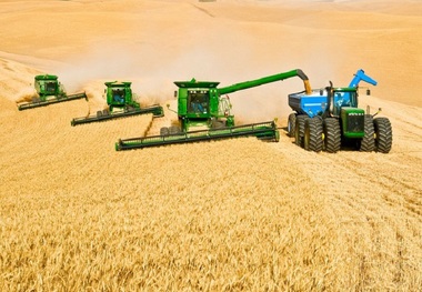 360 میلیارد ریال وام به کشاورزان کهگیلویه و بویراحمد پرداخت