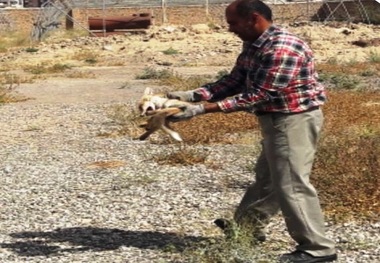 اخبار کوتاه زیست زیستی استان اصفهان