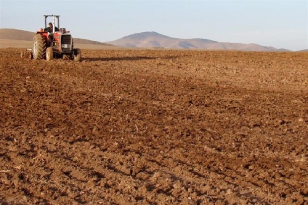 کشت پاییزه در 10 هزار هکتار از اراضی چرام آغاز شد