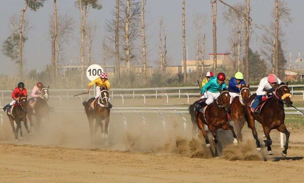 آغاز هفته هفتم مسابقات اسبدوانی گنبدکاووس با رقابت ۵۶ راس اسب در روز نخست