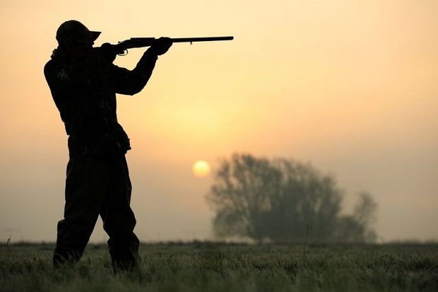 مجوز شکار قانونی در خراسان جنوبی صادر می‌شود