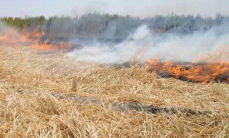 400 هکتار از مراتع روستای ابردر تفرش در آتش سوخت