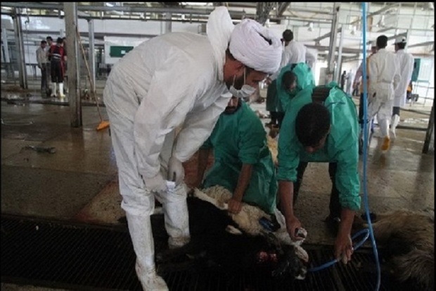 طرح نظارت بر ذبح بهداشتی دام در آذربایجان غربی اجرا می شود