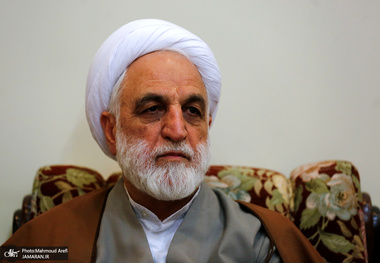 محسنی اژه‌ای:‌ چرا باید معادن را افرادی خاص داشته باشند؟
