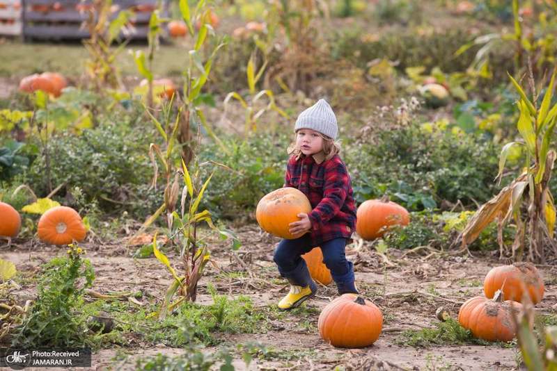 منتخب تصاویر امروز جهان