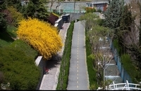 1399011318443671620039604